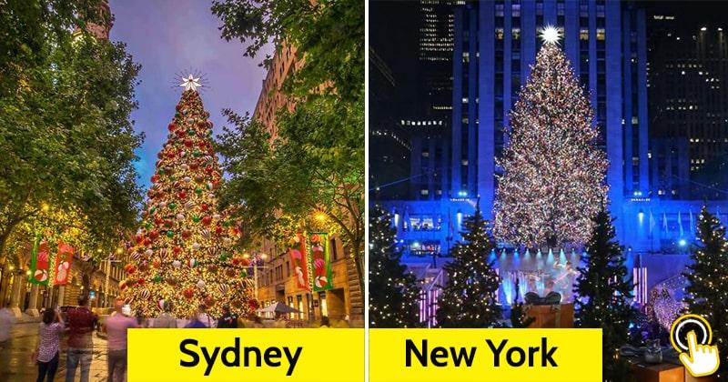 SHARE-2021-Christmas-Trees-Around-The-World