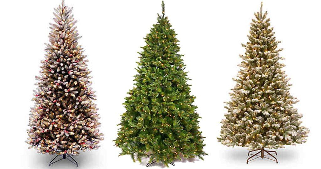 Belk-Christmas-Trees-1024x538