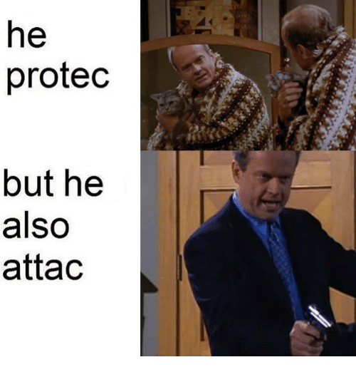 he-protec-but-he-also-attac-25248910