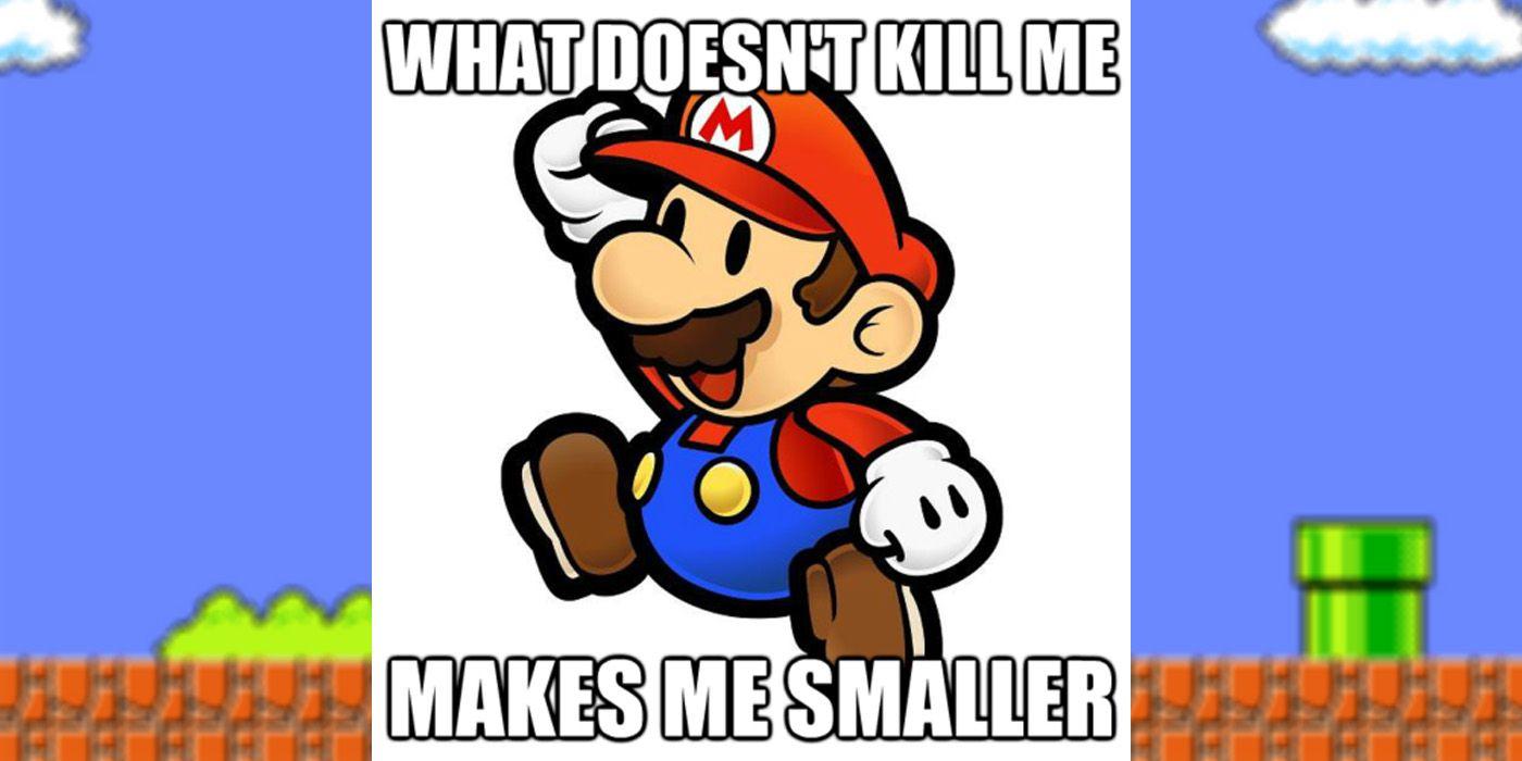 Mario-Shrink