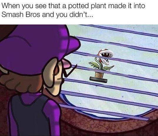person-see-potted-plant-made-into-smash-bros-and-didnt