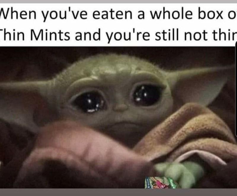 youve-eaten-a-whole-box-of-thin-mints-and-youre-still-not-thin-above-a-pic-of-baby-yoda-looking-sad