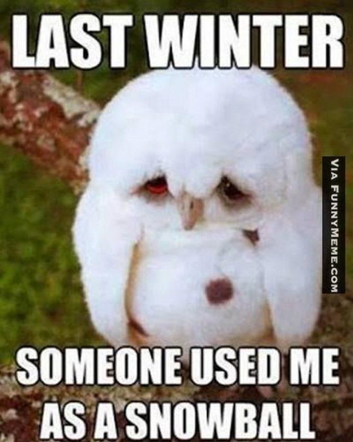 55-Funny-Winter-Memes-04-720x900