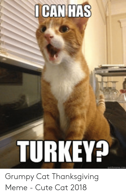 ican-has-turkey-grumpy-cat-thanksgiving-meme-cute-cat-50675727