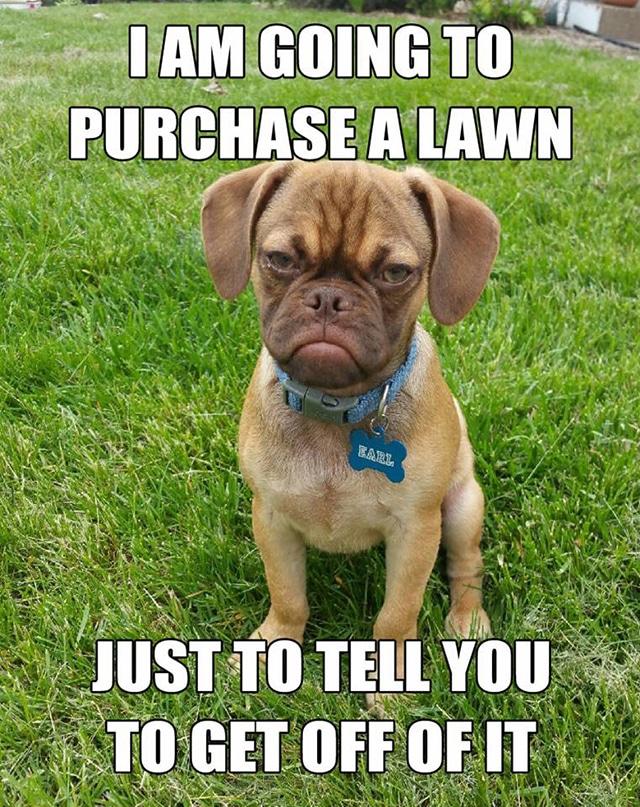 purchase-a-lawn-resized