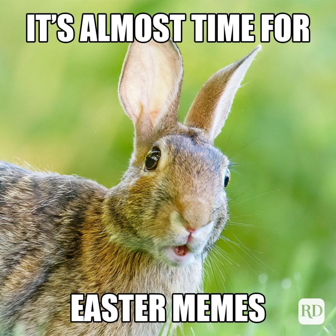 RD-easter-memes-2022_1_GettyImages-1251122273
