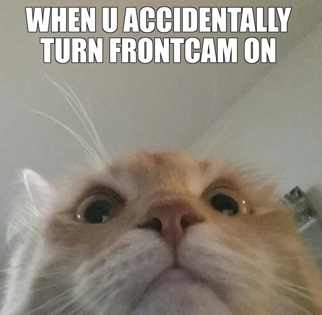 frontcam