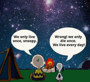 thumb_we-only-live-once-snoopy-wrong-we-only-die-once-66634715
