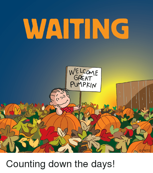 waiting-welcome-great-pumpkin-pnt-counting-down-the-days-4754041