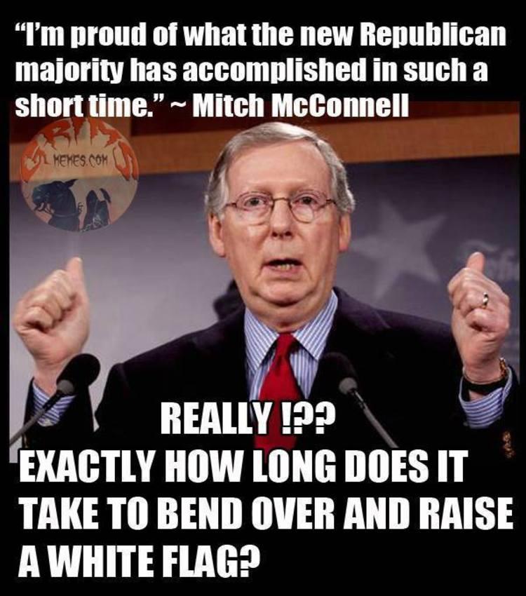 29-Mitch-Mcconnell-Memes-14