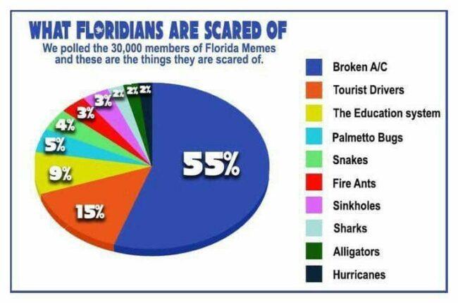 what-floridans-are-scared-of-florida-hurricane-memes-650x430